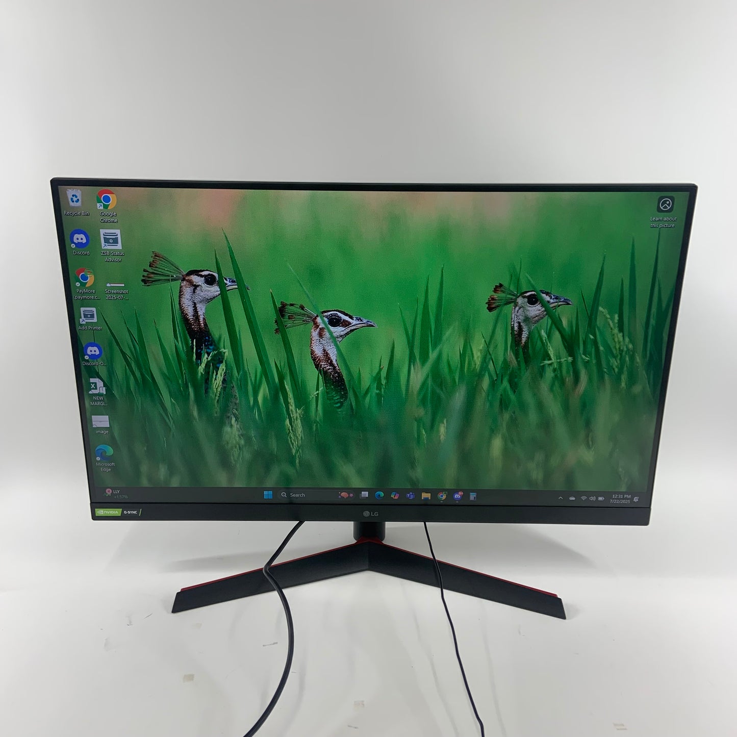 LG 32" 32GN50T-B FHD VA 165Hz Gaming Monitor