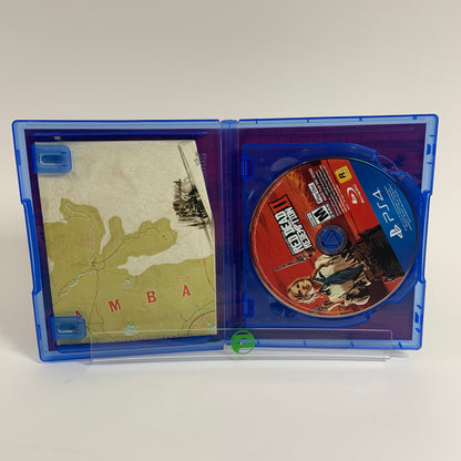 Red Dead Redemption 2 (Sony PlayStation 4 PS4, 2018)